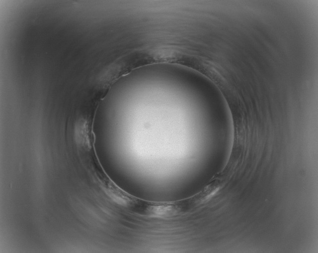 X0000071350575200606261345