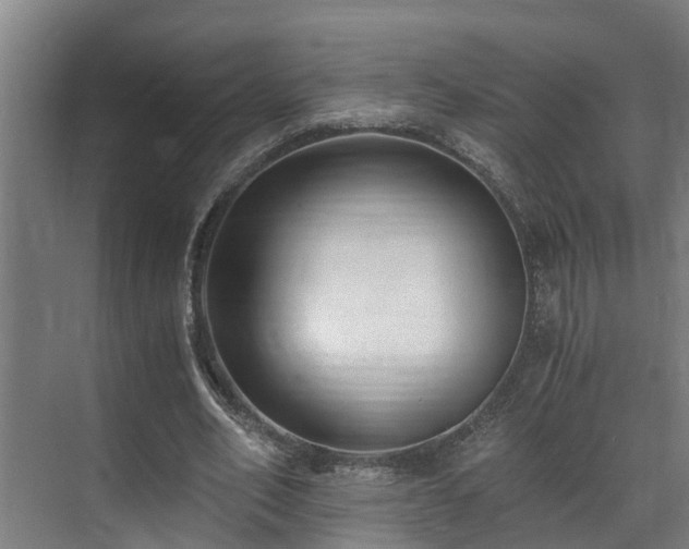 X0000071350582200606261344