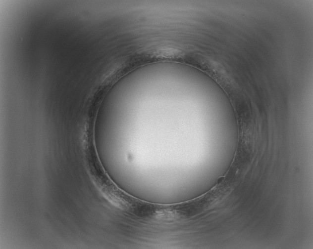 X0000071350591200606261344