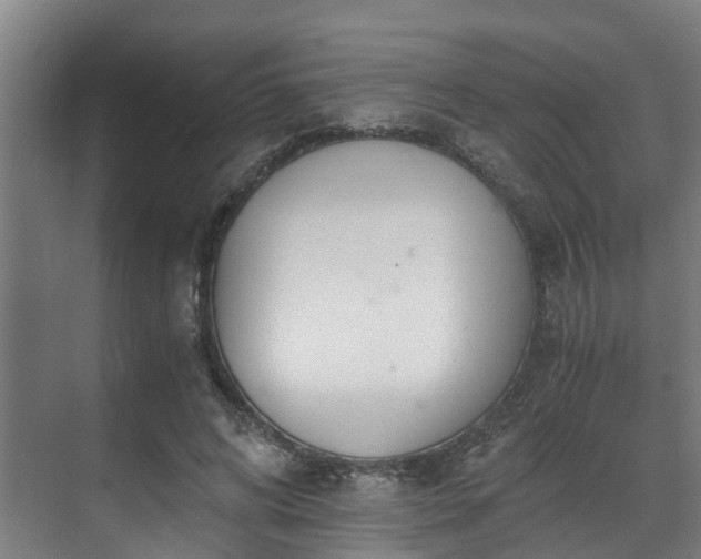 X0000071350592200606261344