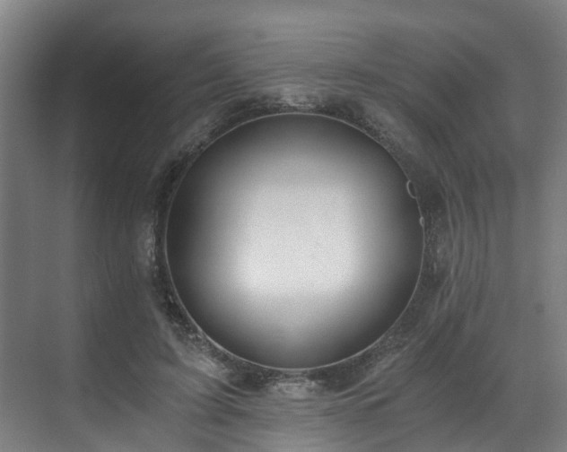 X0000071350595200606261344