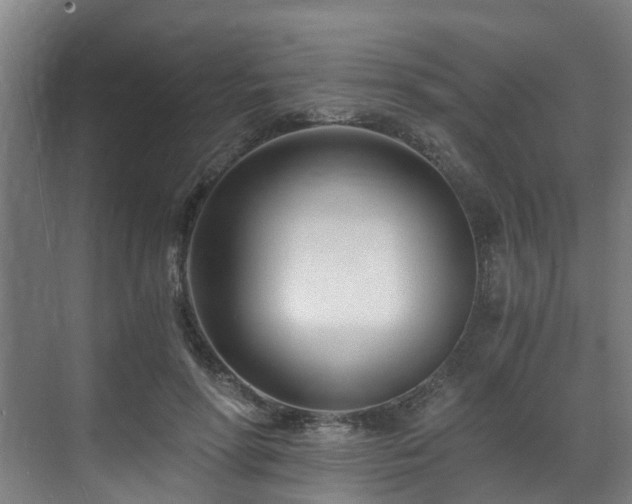 X0000071350598200606261344