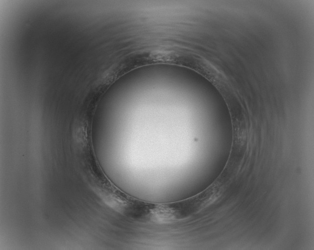 X0000071350603200606261344