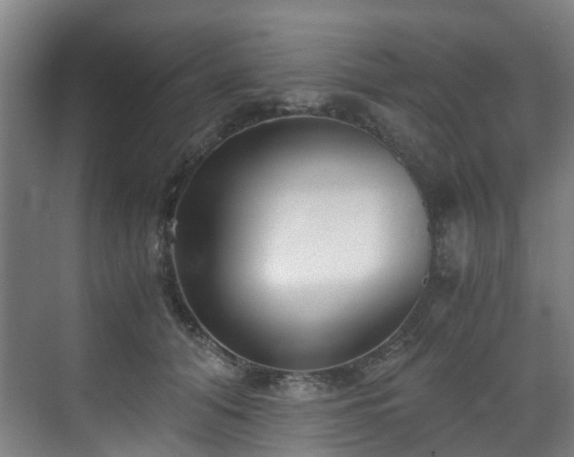 X0000071350608200606261343