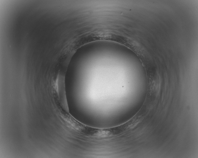 X0000071350609200606261343