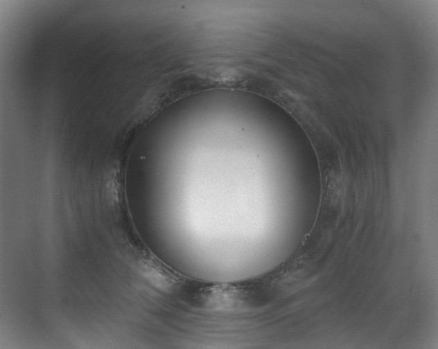 X0000071350612200606261343