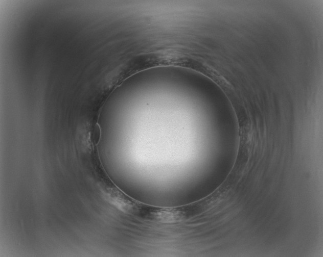 X0000071350615200606261343