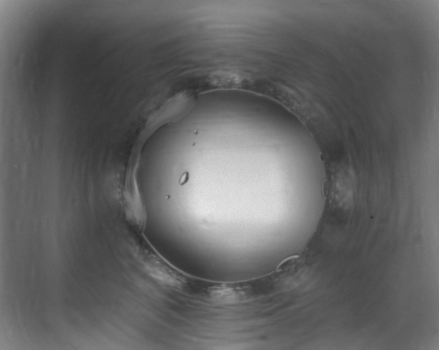 X0000071350616200606261343