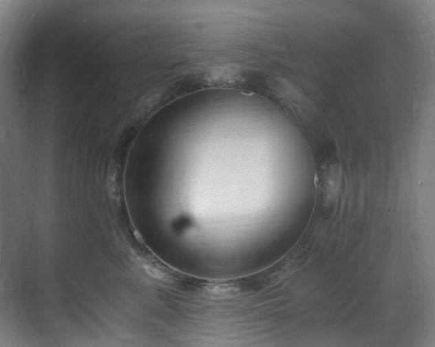 X0000071350619200606261343