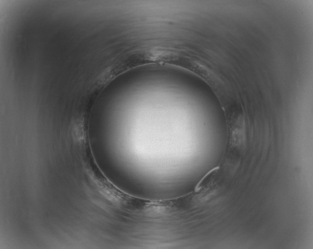 X0000071350620200606261343