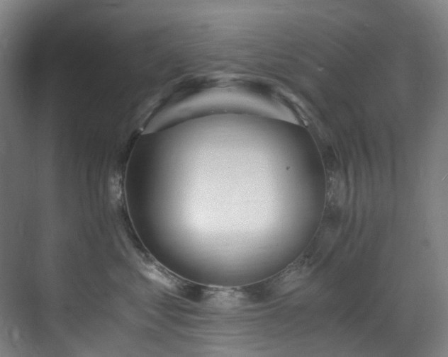 X0000071350621200606261343