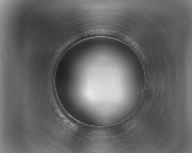 X0000071350625200606261342