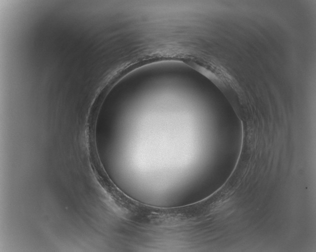 X0000071350626200606261342