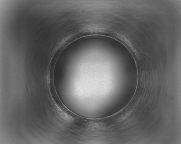 X0000071350629200606261342