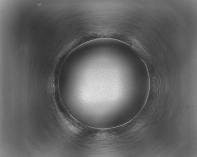 X0000071350634200606261342