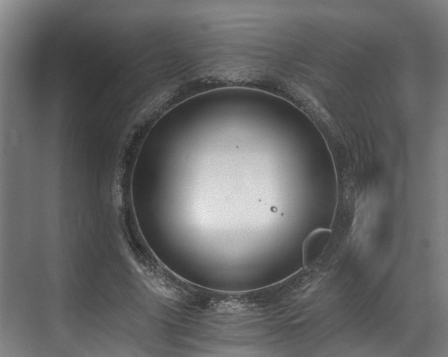 X0000071350635200606261343