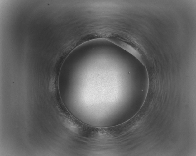 X0000071350641200606261343