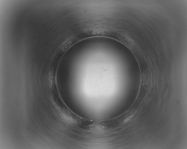 X0000071350648200606261343