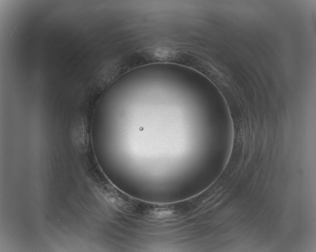 X0000071350651200606261343