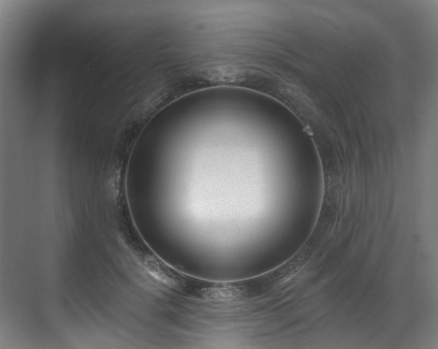 X0000071350652200606261343