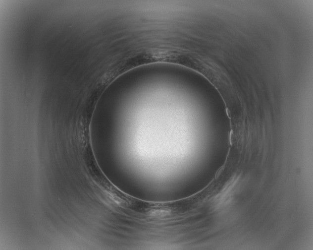 X0000071350653200606261343