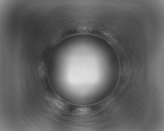 X0000071350659200606261343