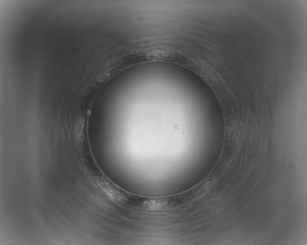 X0000071350660200606261343