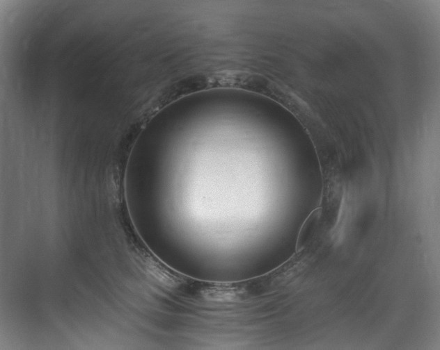 X0000071350661200606261343