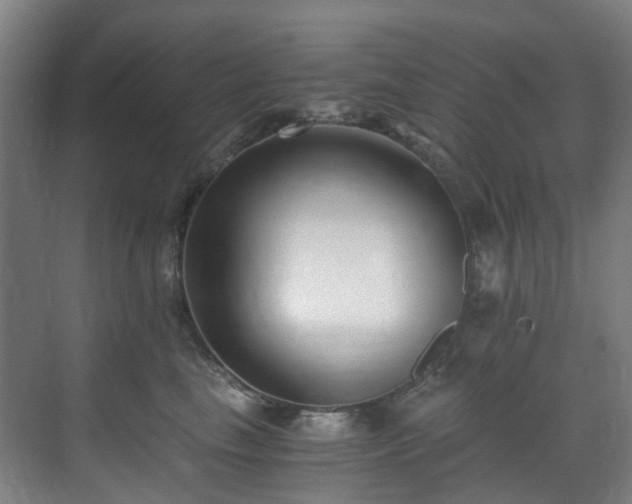 X0000071350665200606261343