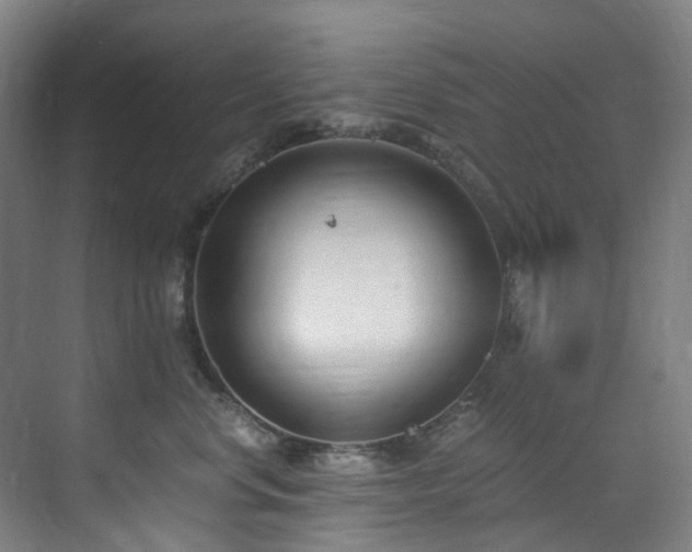 X0000071350668200606261343