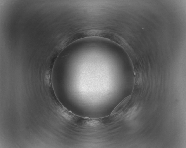 X0000071350669200606261343