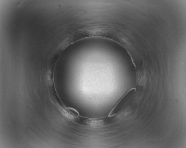 X0000071350670200606261343