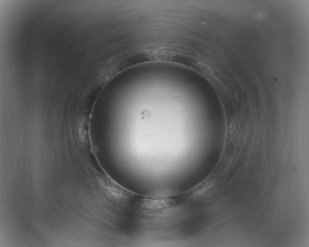 X0000071350671200606261343