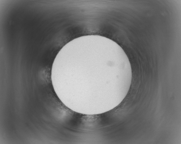 X0000071350672200606261343