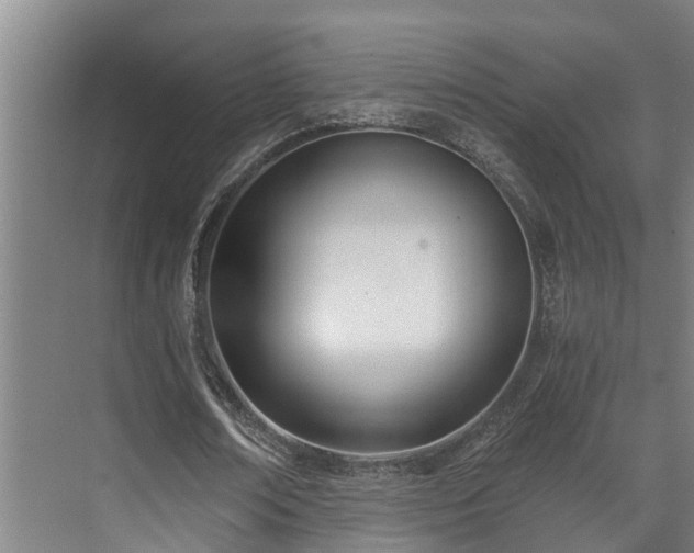 X0000071350674200606261342