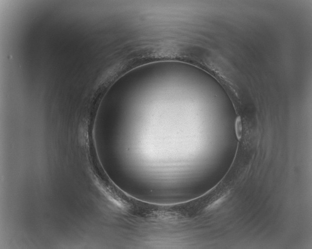 X0000071350681200606261342