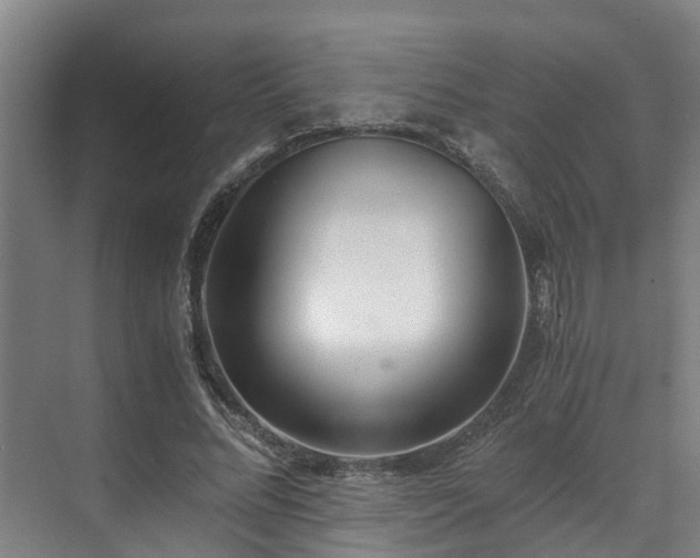 X0000071350684200606261342