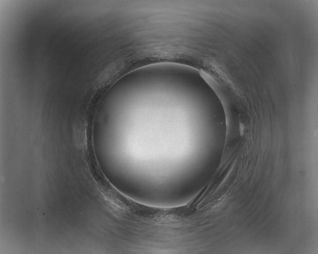 X0000071350685200606261342