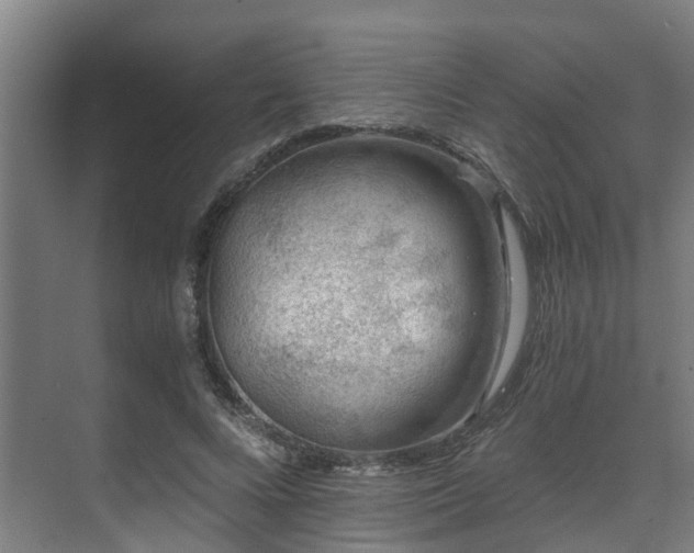 X0000071350688200606261342