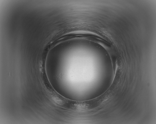 X0000071350693200606261342