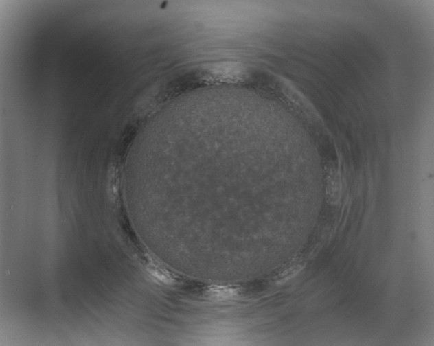 X0000071350701200606261342