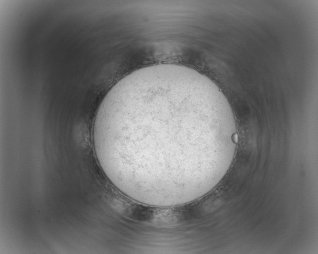 X0000071350705200606261342