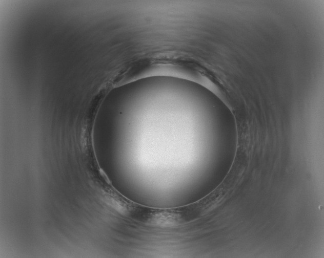 X0000071350708200606261342