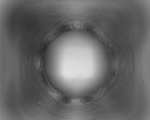 X0000071350709200606261342