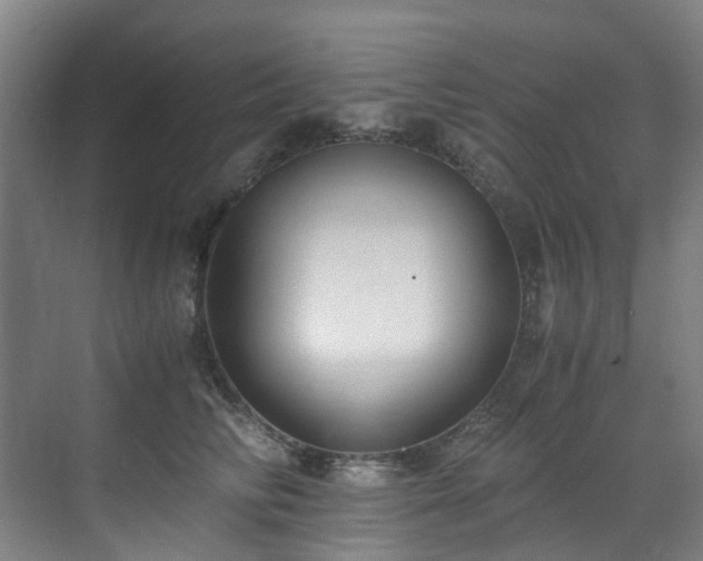 X0000071350710200606261342