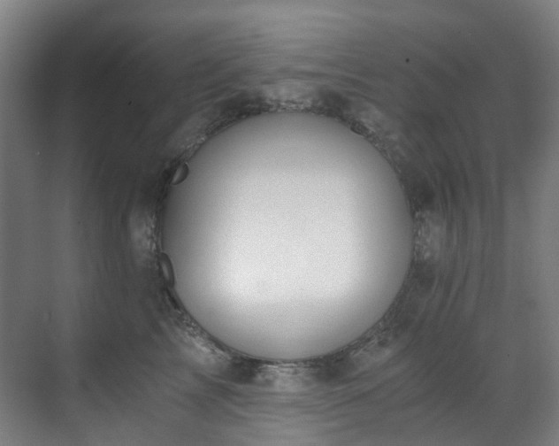 X0000071350713200606261342