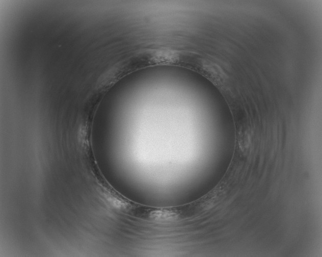 X0000071350714200606261342