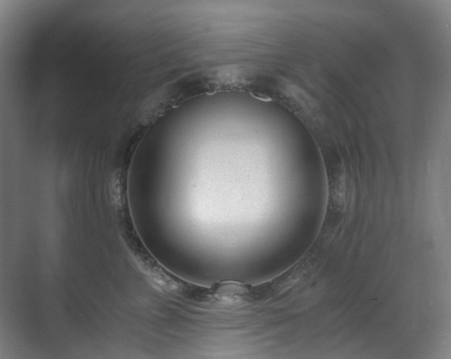 X0000071350715200606261342