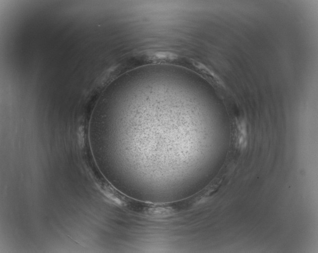 X0000071350716200606261342