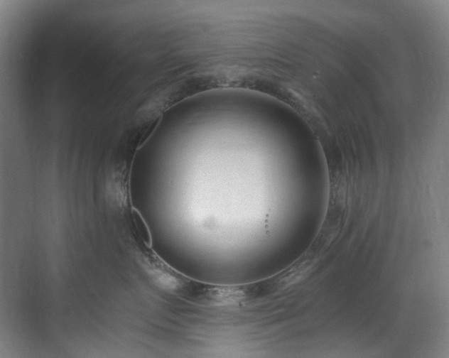 X0000071350719200606261342